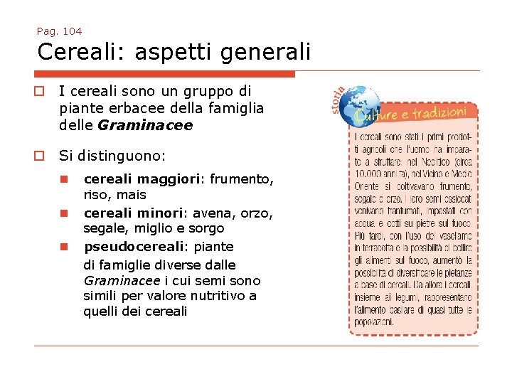 Pag. 104 Cereali: aspetti generali o I cereali sono un gruppo di piante erbacee
