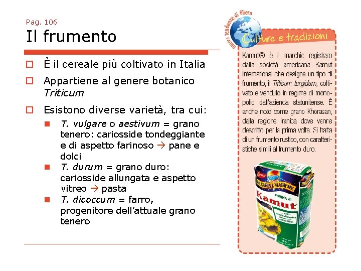 Pag. 106 Il frumento o È il cereale più coltivato in Italia o Appartiene