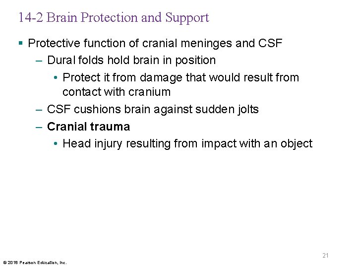 14 -2 Brain Protection and Support § Protective function of cranial meninges and CSF