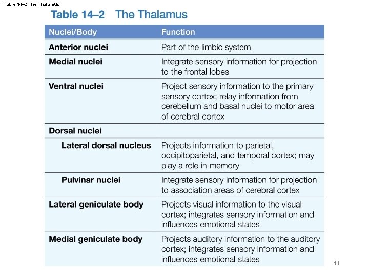 Table 14– 2 The Thalamus 41 