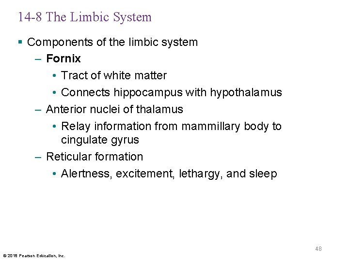 14 -8 The Limbic System § Components of the limbic system – Fornix •