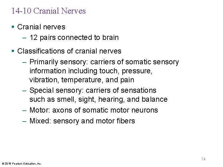 14 -10 Cranial Nerves § Cranial nerves – 12 pairs connected to brain §