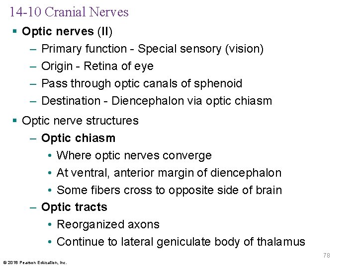 14 -10 Cranial Nerves § Optic nerves (II) – Primary function - Special sensory