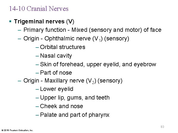 14 -10 Cranial Nerves § Trigeminal nerves (V) – Primary function - Mixed (sensory