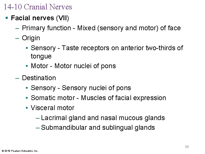 14 -10 Cranial Nerves § Facial nerves (VII) – Primary function - Mixed (sensory
