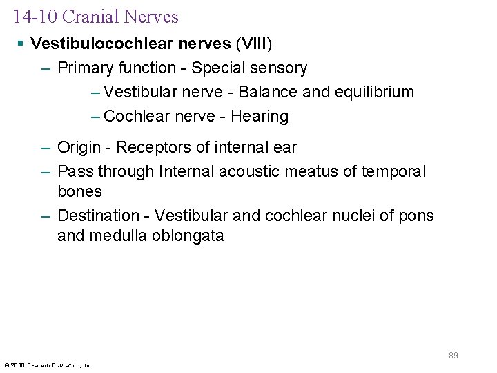 14 -10 Cranial Nerves § Vestibulocochlear nerves (VIII) – Primary function - Special sensory