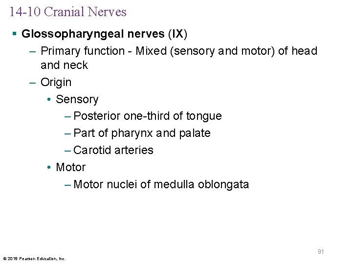 14 -10 Cranial Nerves § Glossopharyngeal nerves (IX) – Primary function - Mixed (sensory