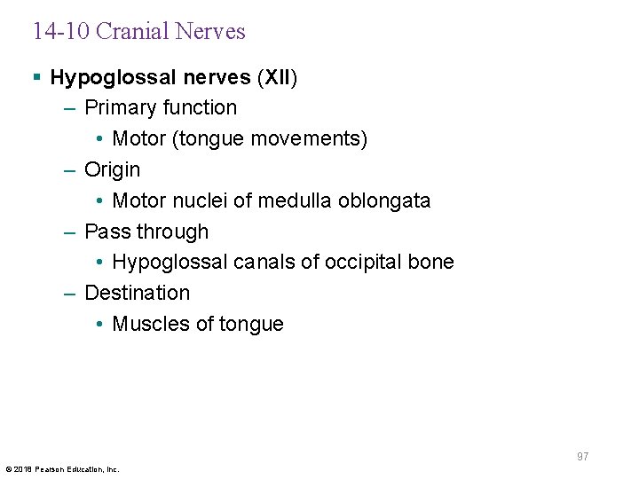 14 -10 Cranial Nerves § Hypoglossal nerves (XII) – Primary function • Motor (tongue