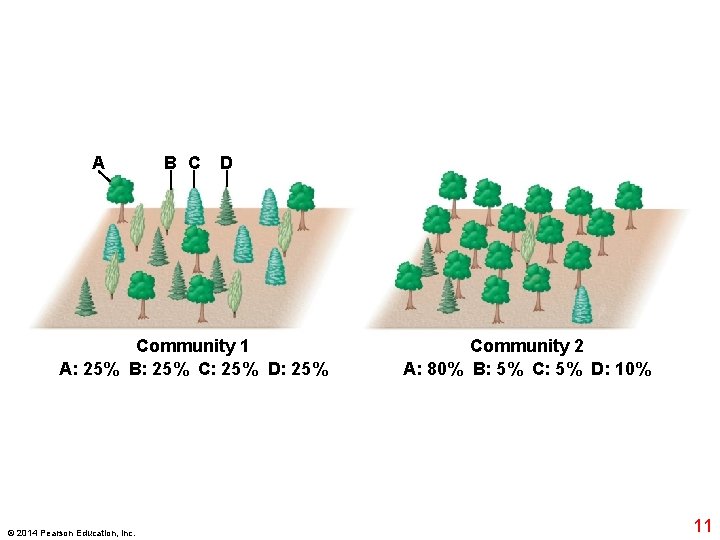 A B C D Community 1 A: 25% B: 25% C: 25% D: 25%