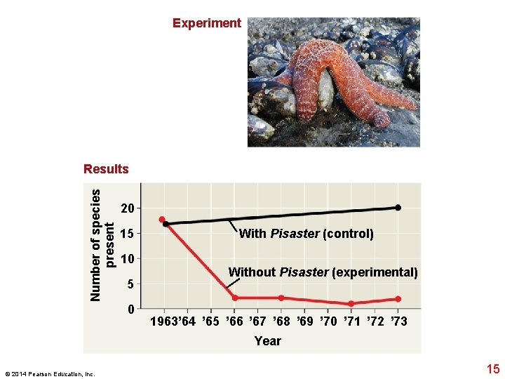 Experiment Number of species present Results 20 15 10 5 0 With Pisaster (control)