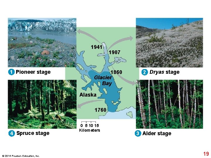 1941 1 Pioneer stage 1907 1860 Glacier Bay 2 Dryas stage Alaska 1760 4