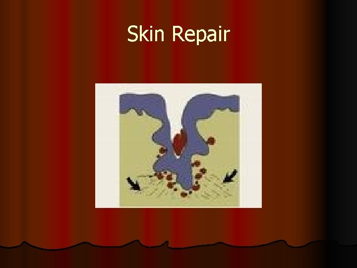 Skin Repair 