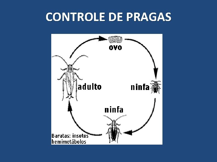 CONTROLE DE PRAGAS 