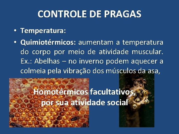 CONTROLE DE PRAGAS • Temperatura: • Quimiotérmicos: aumentam a temperatura do corpo por meio