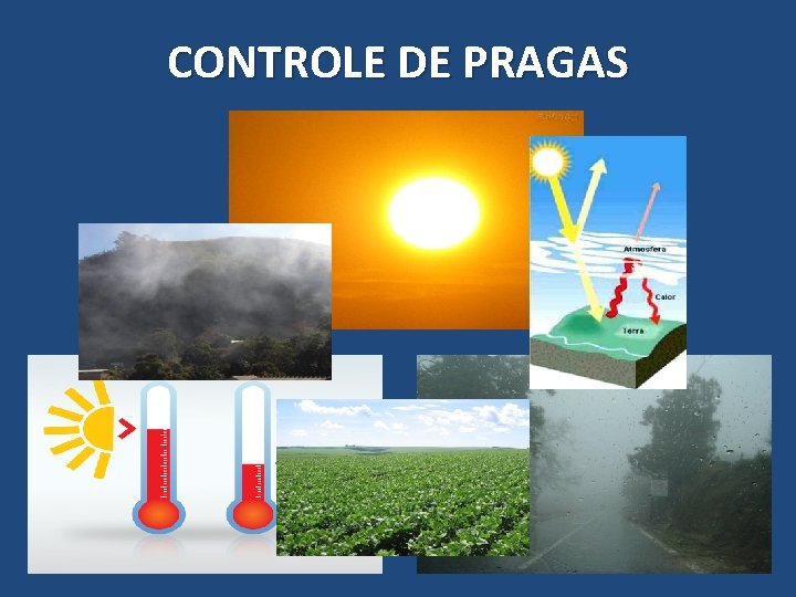 CONTROLE DE PRAGAS 