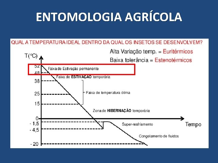 ENTOMOLOGIA AGRÍCOLA 