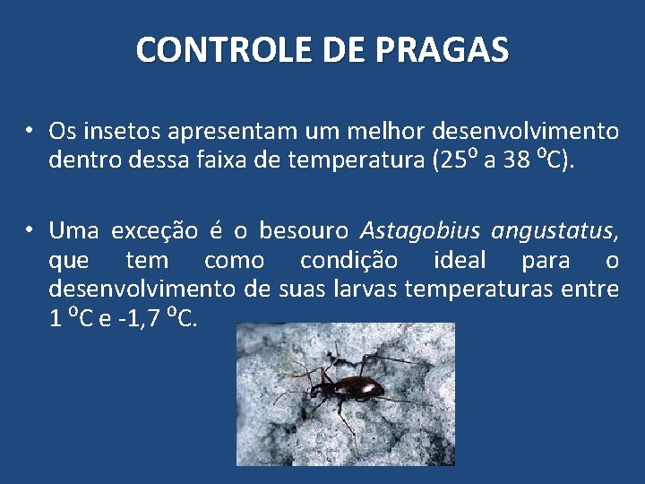 CONTROLE DE PRAGAS • Os insetos apresentam um melhor desenvolvimento dentro dessa faixa de