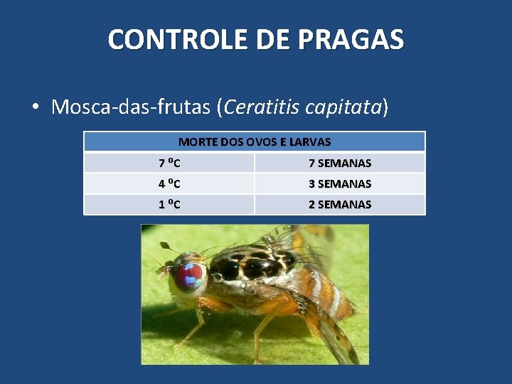 CONTROLE DE PRAGAS • Mosca-das-frutas (Ceratitis capitata) MORTE DOS OVOS E LARVAS 7 ⁰C