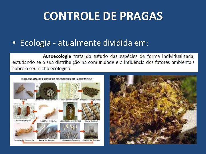 CONTROLE DE PRAGAS • Ecologia - atualmente dividida em: 