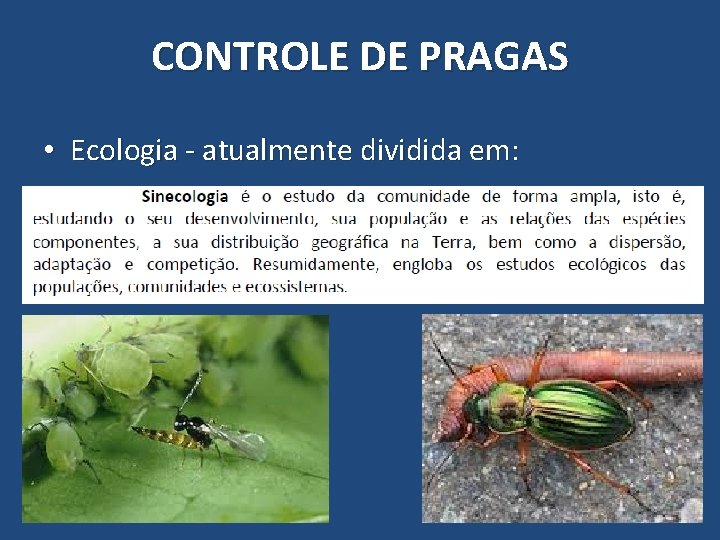 CONTROLE DE PRAGAS • Ecologia - atualmente dividida em: 