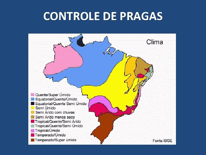 CONTROLE DE PRAGAS 