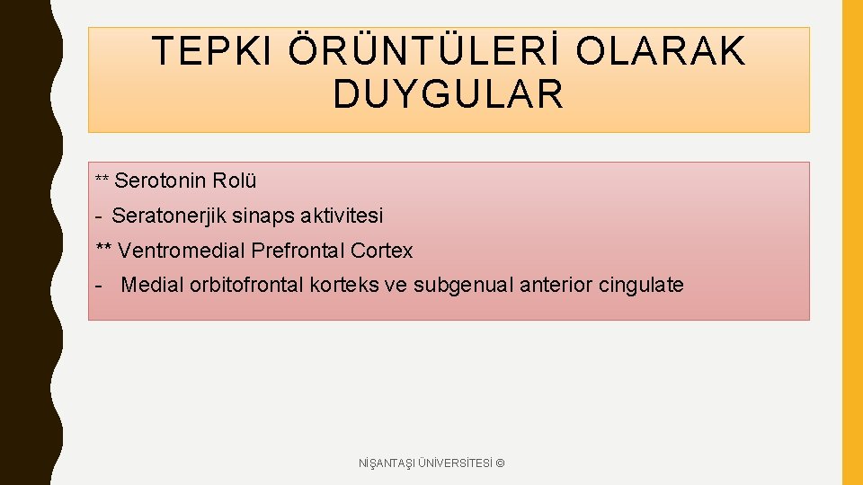 TEPKI ÖRÜNTÜLERİ OLARAK DUYGULAR ** Serotonin Rolü - Seratonerjik sinaps aktivitesi ** Ventromedial Prefrontal