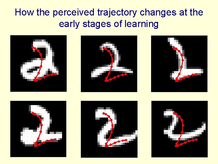 How the perceived trajectory changes at the early stages of learning 