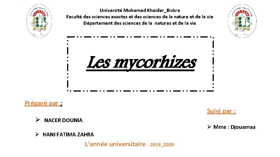 Université Mohamed Khaider_Biskra Faculté des sciences exactes et des sciences de la nature et