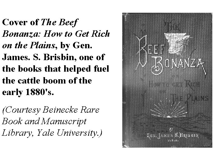 Cover of The Beef Bonanza: How to Get Rich on the Plains, by Gen.