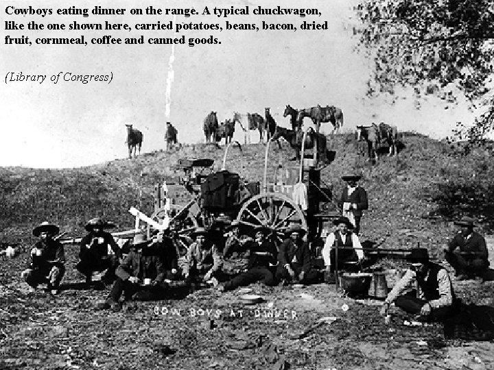 Cowboys eating dinner on the range. A typical chuckwagon, like the one shown here,
