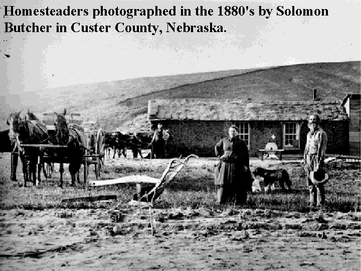 Homesteaders photographed in the 1880's by Solomon Butcher in Custer County, Nebraska. 