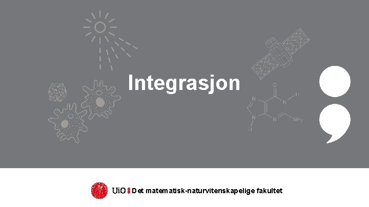 Integrasjon Det matematisk-naturvitenskapelige fakultet Integrasjon Det matematisk-naturvitenskapelige fakultet