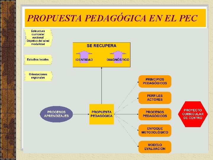 PROPUESTA PEDAGÓGICA EN EL PEC 