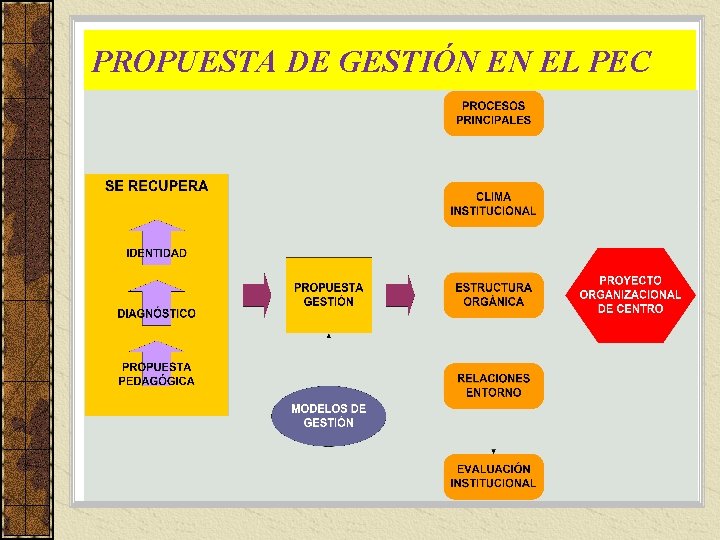 PROPUESTA DE GESTIÓN EN EL PEC 