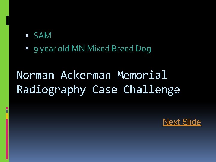  SAM 9 year old MN Mixed Breed Dog Norman Ackerman Memorial Radiography Case