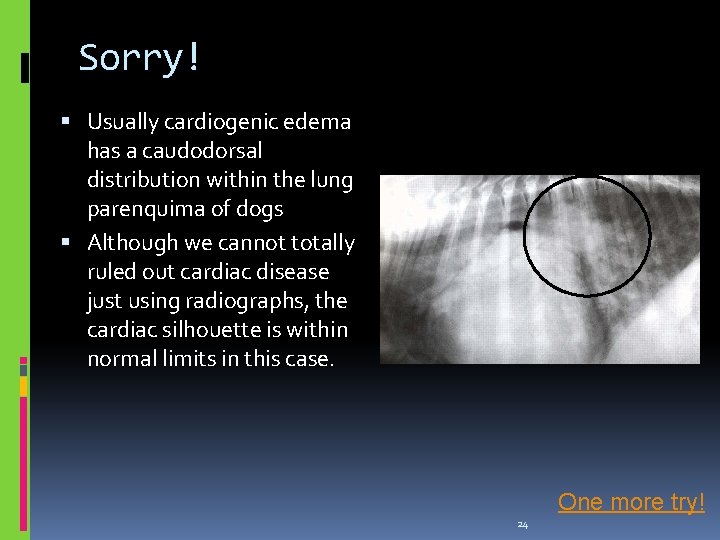 Sorry! Usually cardiogenic edema has a caudodorsal distribution within the lung parenquima of dogs