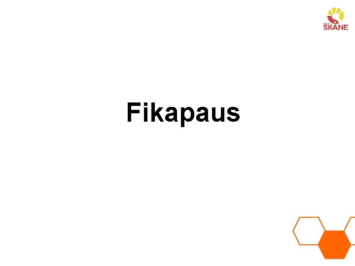 Fikapaus 