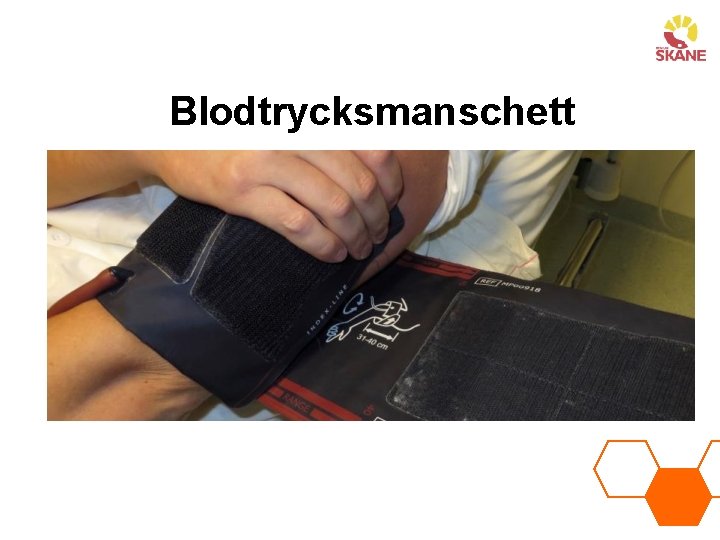 Blodtrycksmanschett 