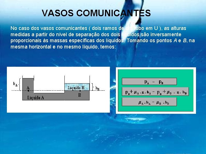 VASOS COMUNICANTES No caso dos vasos comunicantes ( dois ramos de um tubo em