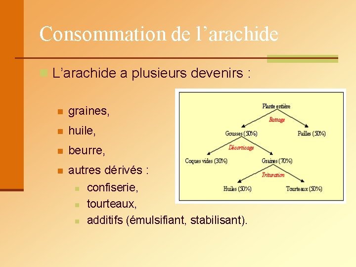 Consommation de l’arachide n L’arachide a plusieurs devenirs : n graines, n huile, n