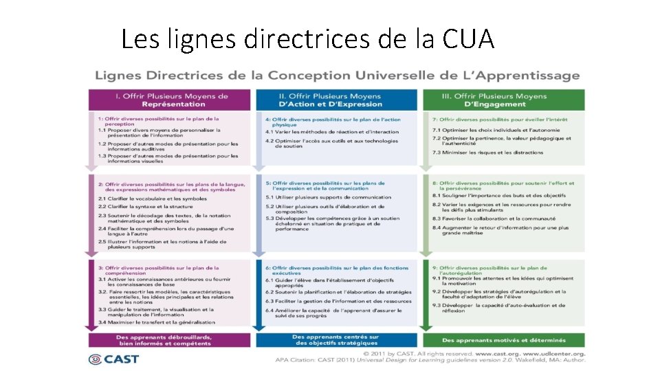 Les lignes directrices de la CUA 