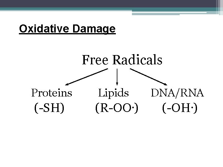 Oxidative Damage Free Radicals Proteins Lipids (-SH) (R-OO. ) DNA/RNA (-OH. ) 