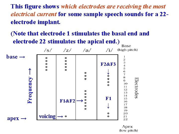 This figure shows which electrodes are receiving the most electrical current for some sample