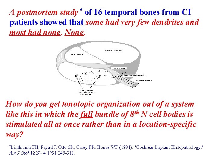 A postmortem study * of 16 temporal bones from CI patients showed that some