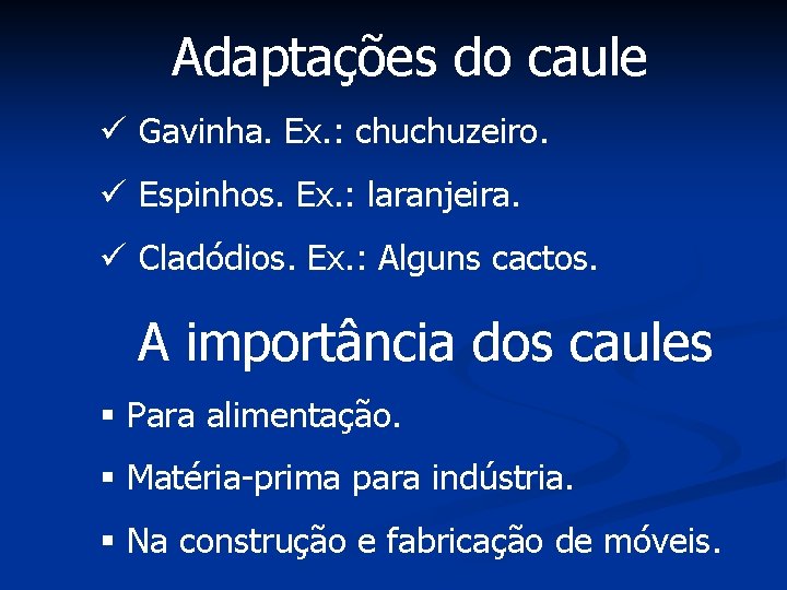 Adaptações do caule ü Gavinha. Ex. : chuchuzeiro. ü Espinhos. Ex. : laranjeira. ü