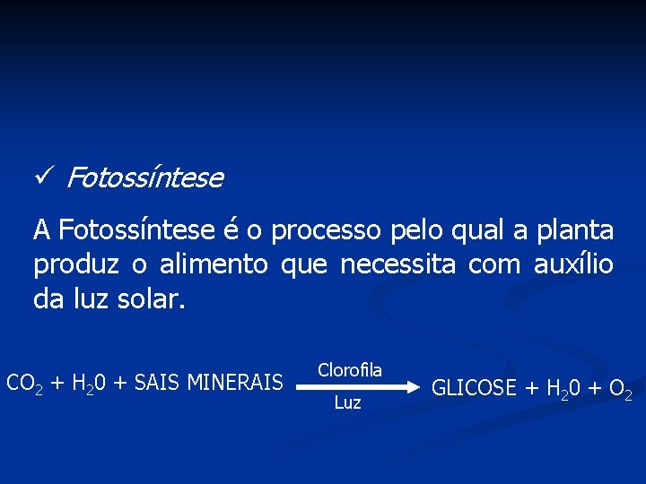 ü Fotossíntese A Fotossíntese é o processo pelo qual a planta produz o alimento