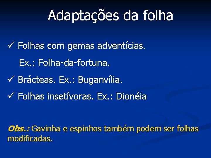 Adaptações da folha ü Folhas com gemas adventícias. Ex. : Folha-da-fortuna. ü Brácteas. Ex.