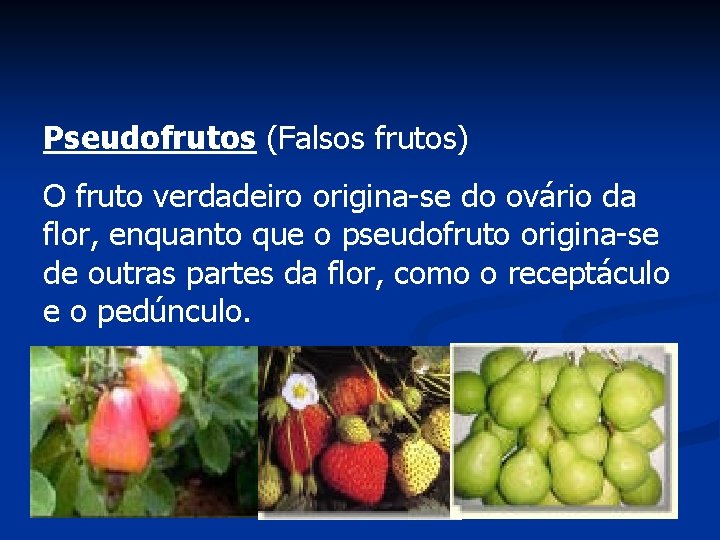 Pseudofrutos (Falsos frutos) O fruto verdadeiro origina-se do ovário da flor, enquanto que o