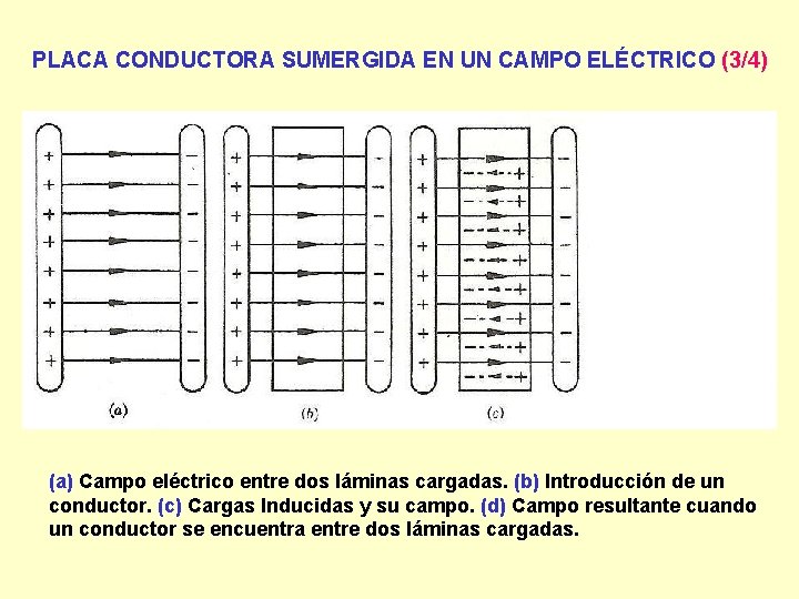 PLACA CONDUCTORA SUMERGIDA EN UN CAMPO ELÉCTRICO (3/4) (a) Campo eléctrico entre dos láminas