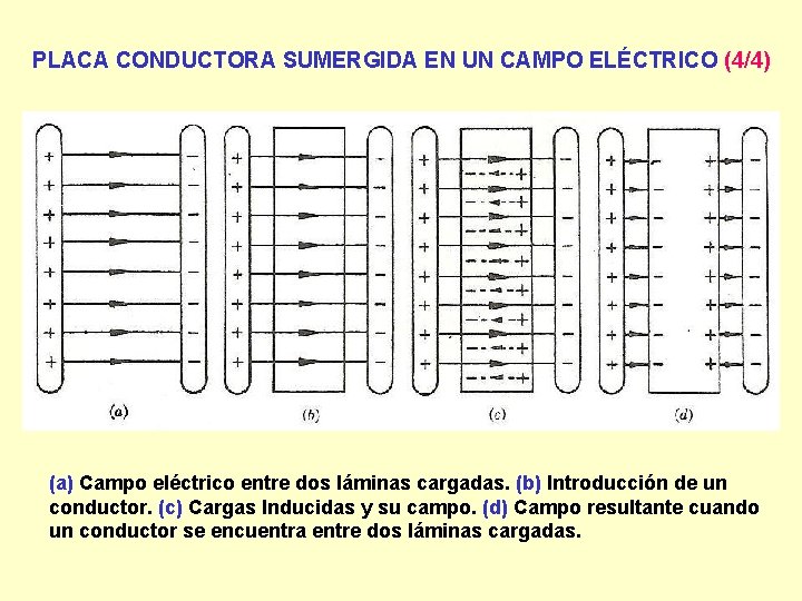 PLACA CONDUCTORA SUMERGIDA EN UN CAMPO ELÉCTRICO (4/4) (a) Campo eléctrico entre dos láminas